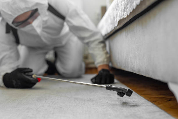 Professional Cockroach Control technician working in Crystal, MN