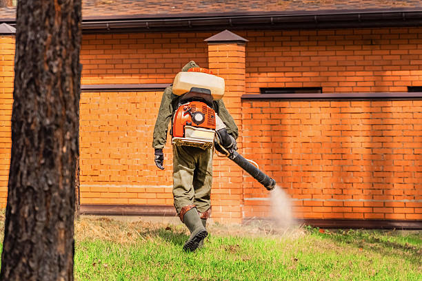 Top rated local Cockroach Control specialists in Crystal, MN